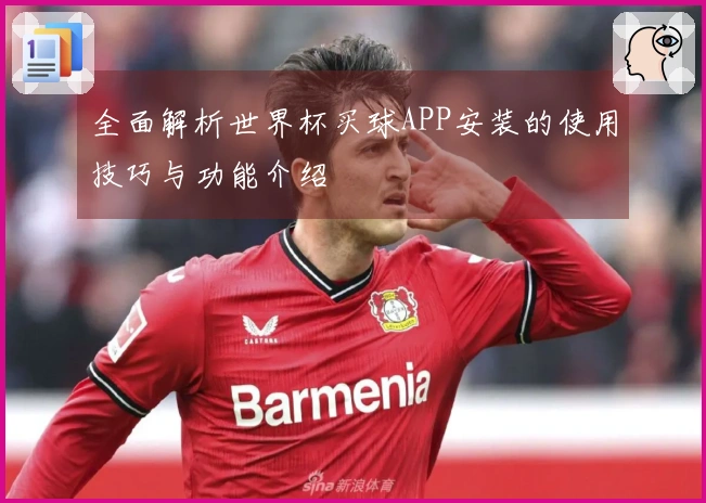 全面解析世界杯买球APP安装的使用技巧与功能介绍