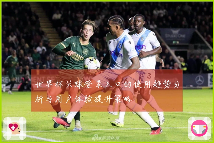 世界杯买球登录入口的使用趋势分析与用户体验提升策略
