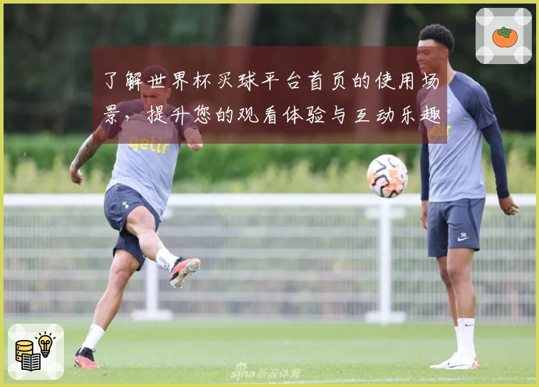 了解世界杯买球平台首页的使用场景，提升您的观看体验与互动乐趣