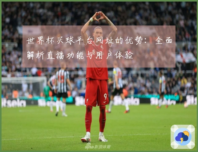世界杯买球平台网址的优势：全面解析直播功能与用户体验