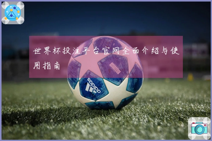 世界杯投注平台官网全面介绍与使用指南