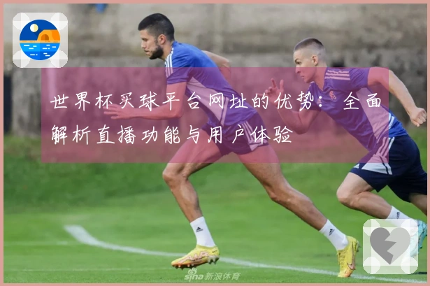 世界杯买球平台网址的优势：全面解析直播功能与用户体验