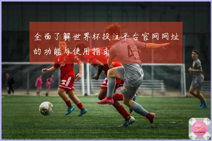 全面了解世界杯投注平台官网网址的功能与使用指南